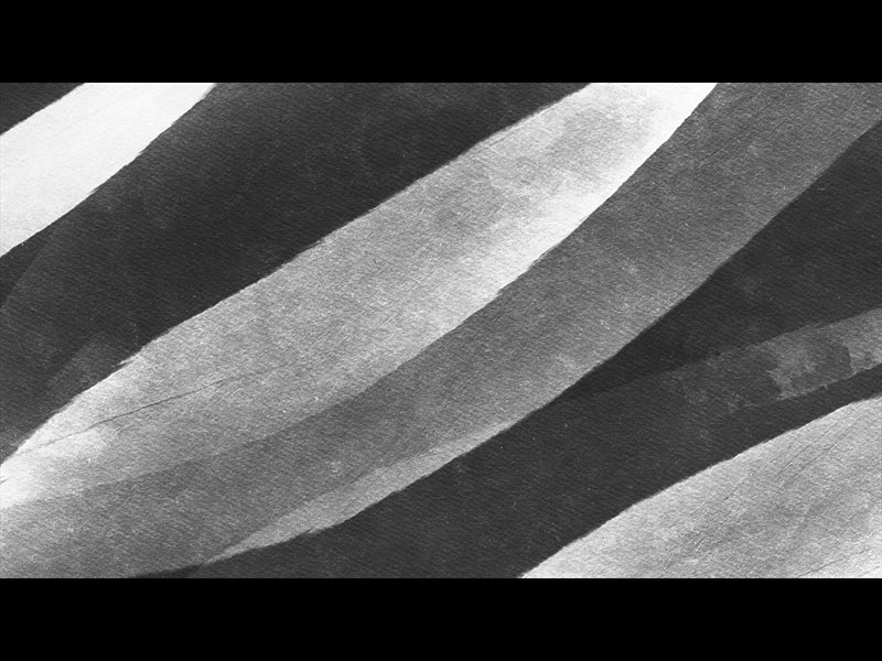 Fall Canvas Loop 11