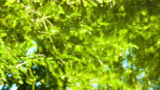 Living Waters 06