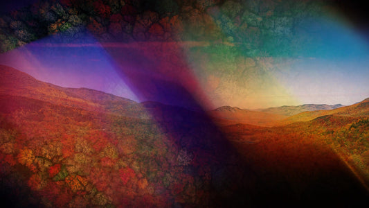 Subtle Fall 07 Still