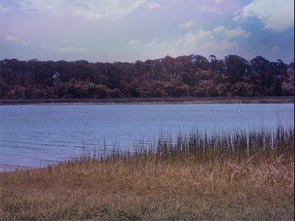 Tidelands 12