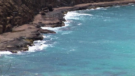 Rocky Shore