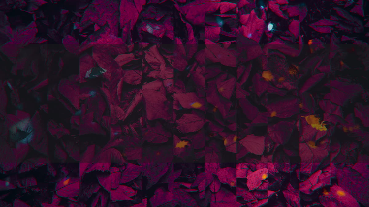 Autumn Memories 8 Alt