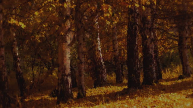 Autumn Vibes 6 Alt