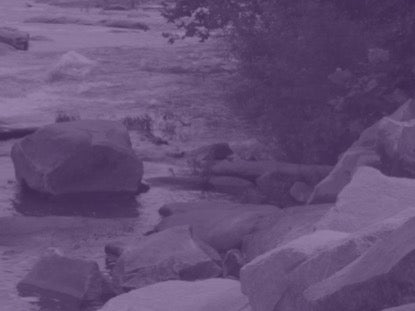 Natural Serenity Motion 5