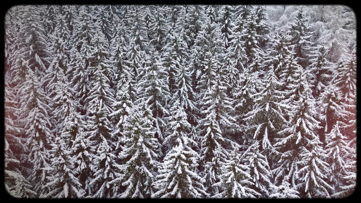 Retro Winter 10