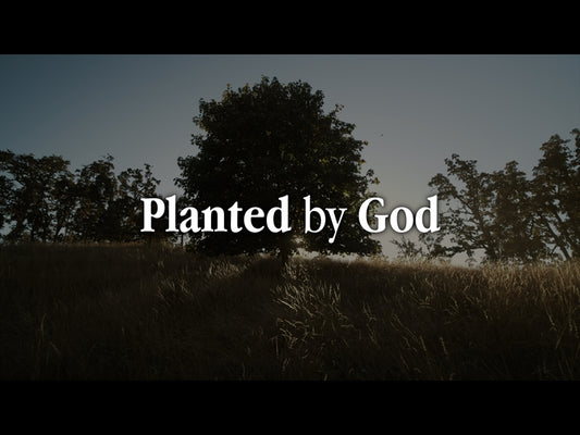 Planted By God