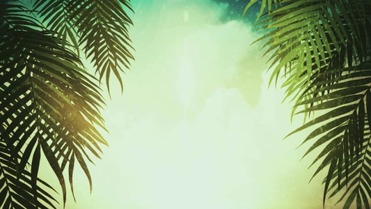 Palm Sunday Motion 01