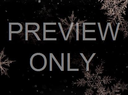 Christmas Snowflakes 13 Still