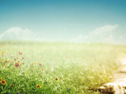 Field