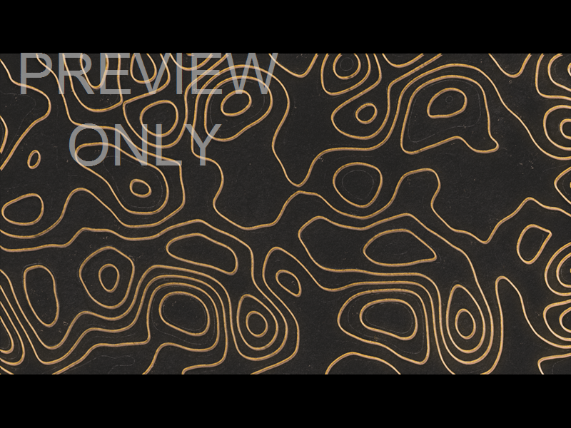 Topo Drawing 2