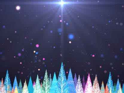 Colorful Christmas Trees Fast