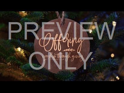 Christmas Pines Offering