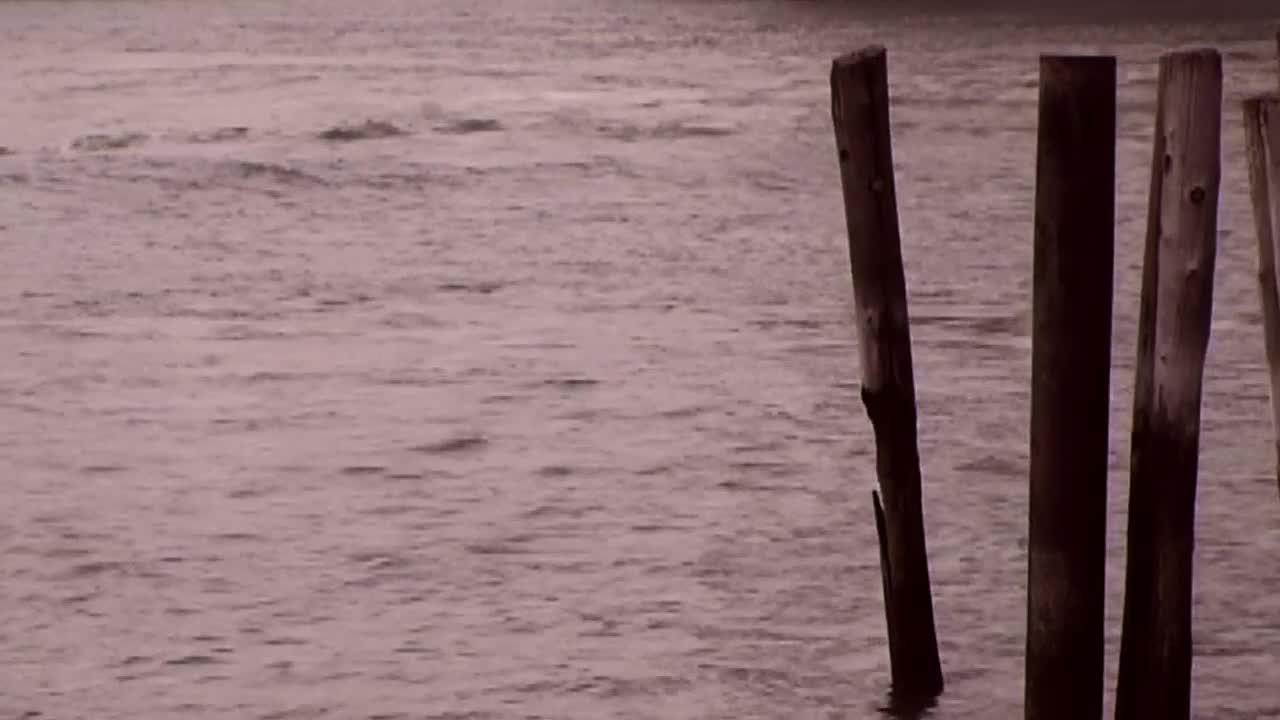 Wooden Posts