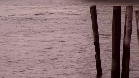 Wooden Posts