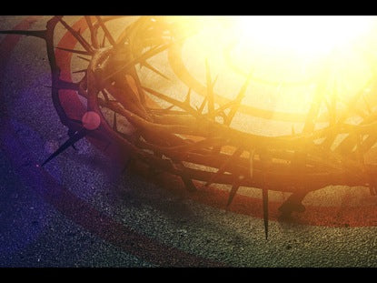 Crown Of Thorns
