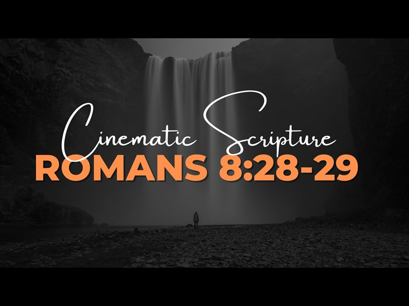 Cinematic Scripture: Romans 8:28-29