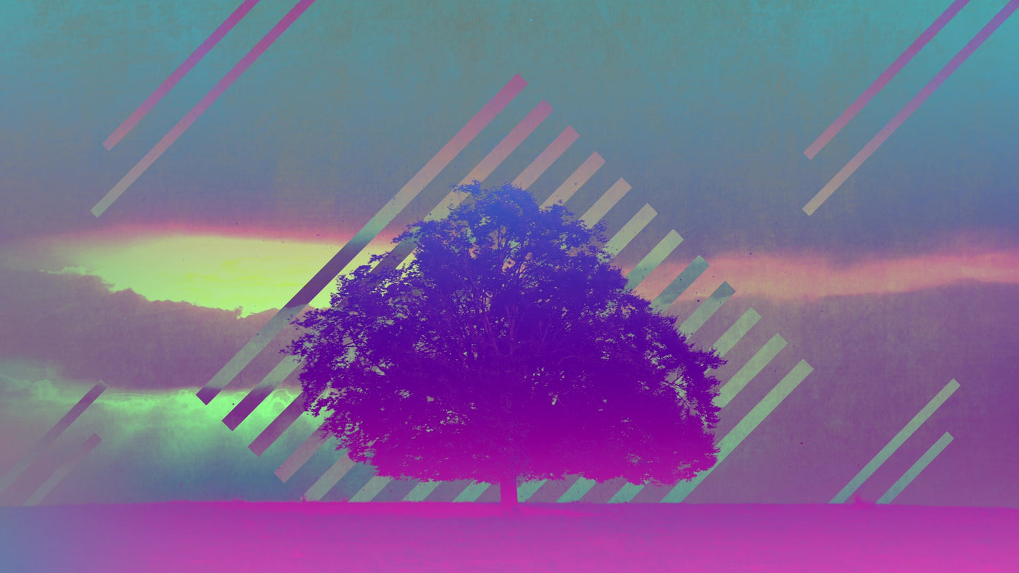 Lonely Tree Rain Still