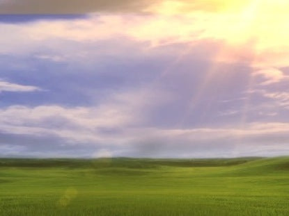 Fields Of Green