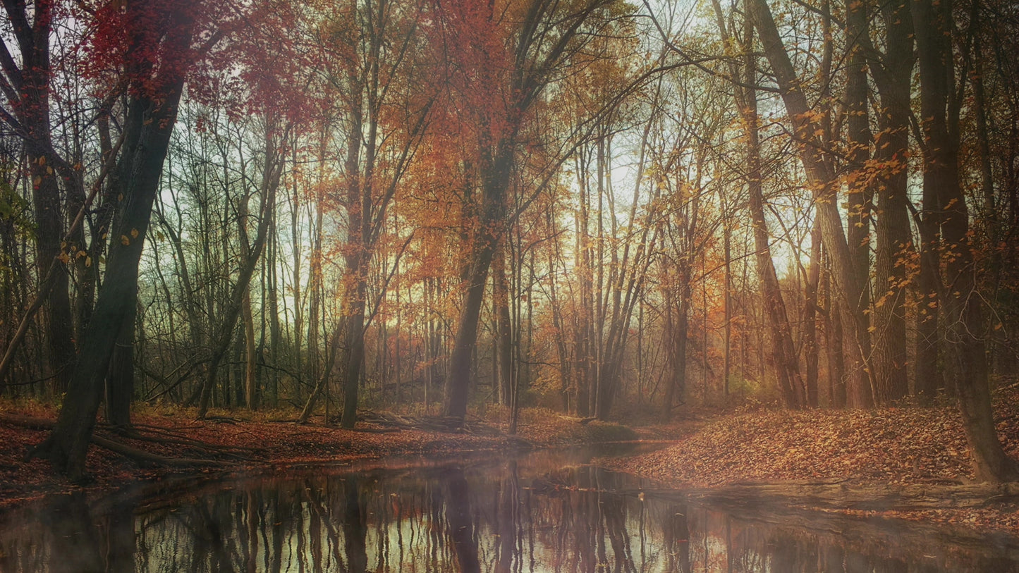 Deep Autumn Pond Still