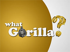 What Gorilla?