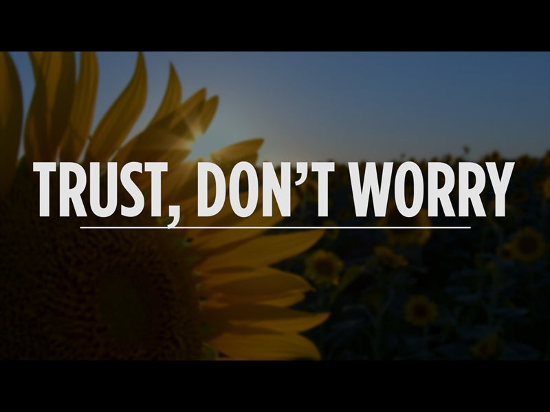 Trust, Don't Worry