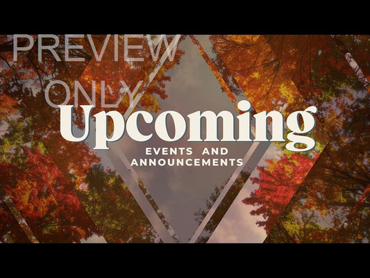 Fall Trees Upcoming Still