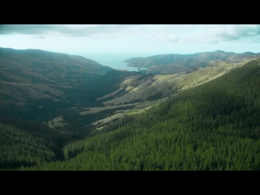 Aerial Bliss 3