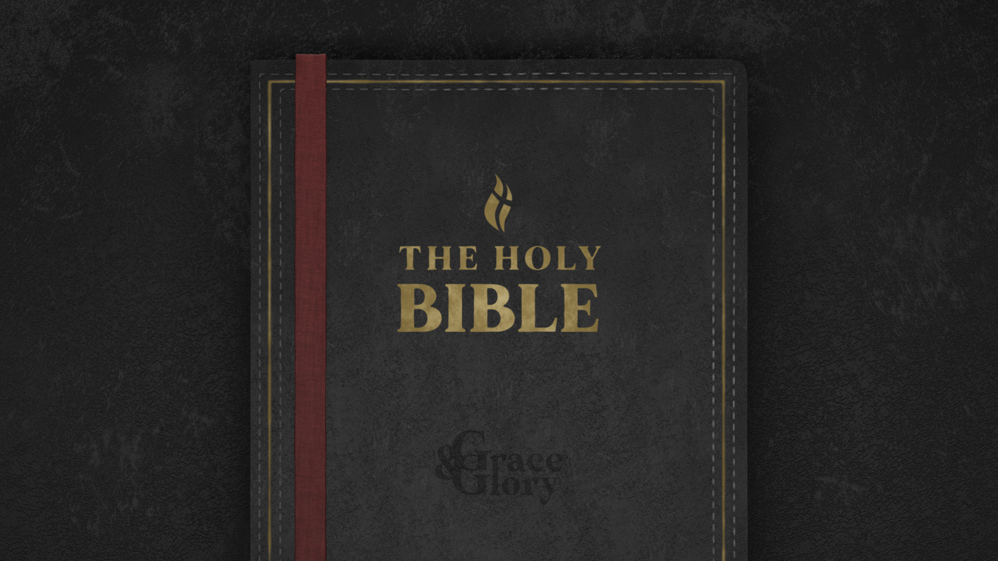 Holy Bible Collection - Black