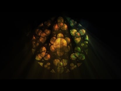 Warm Rose Window