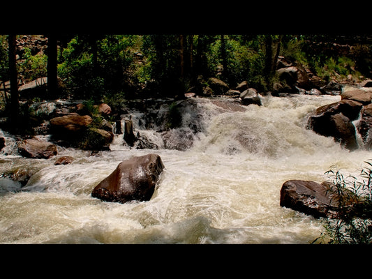 El Dorado Motion 12