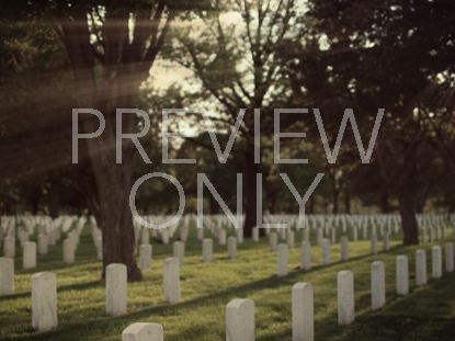 Military CemeteryForest Rays