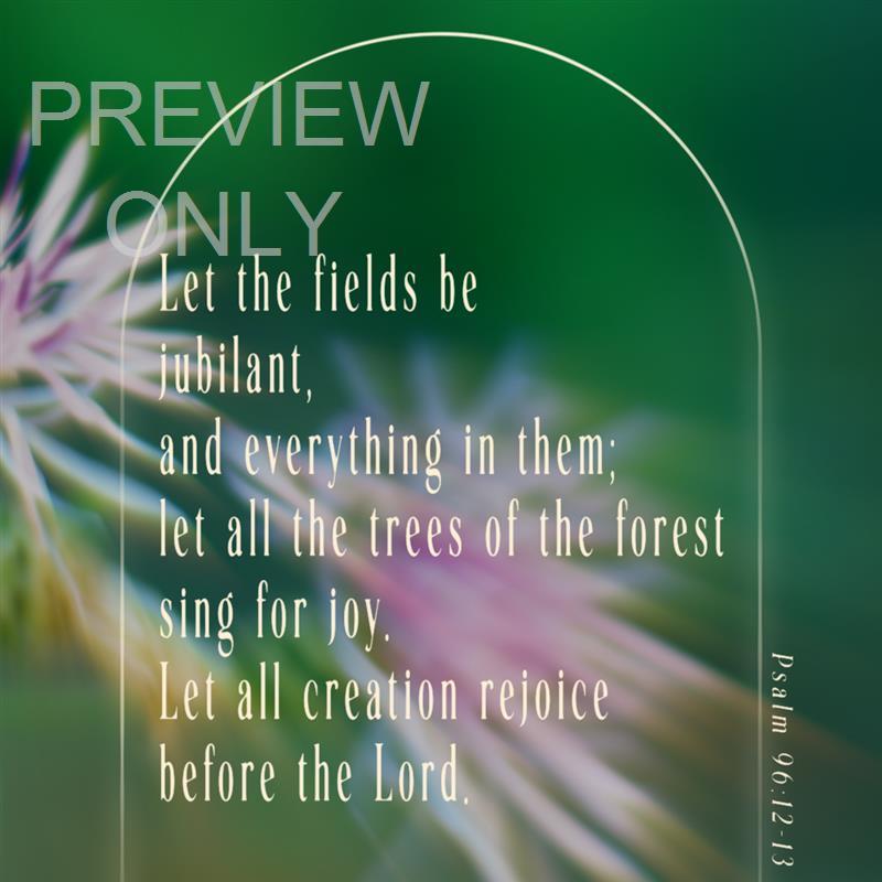 Forest Light Social Graphic 03