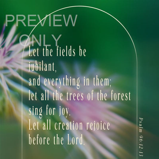 Forest Light Social Graphic 03
