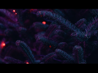 Christmas Pines Red Lights Purple