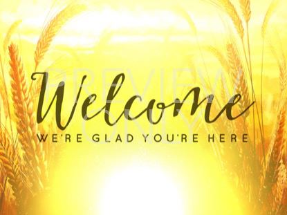 Harvest Sowing Welcome 1 Still