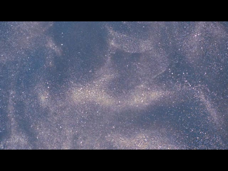 Glisten Snow Dust