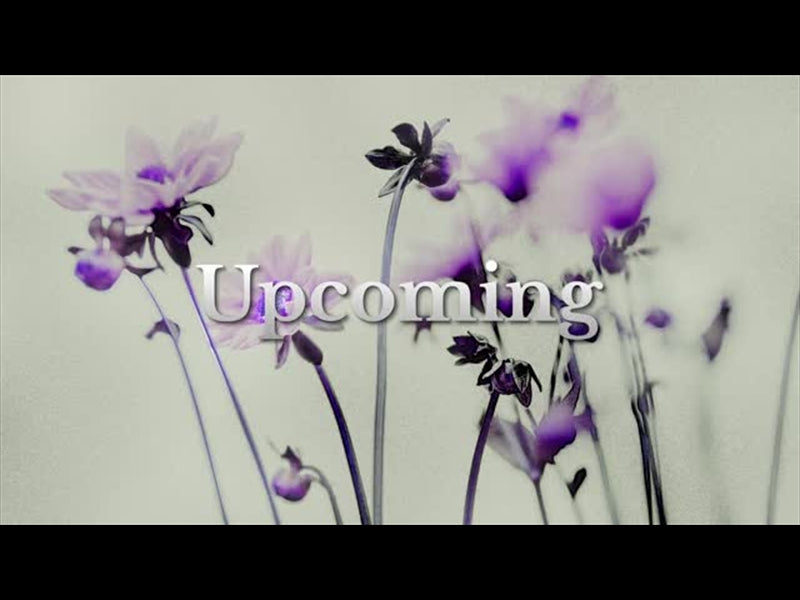 Floral Line Glow Upcoming