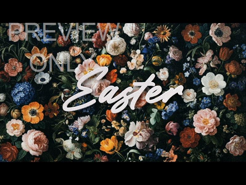 Easter Blooms Easter 01 Still