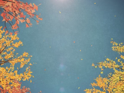 Digital Autumn Passing Trees