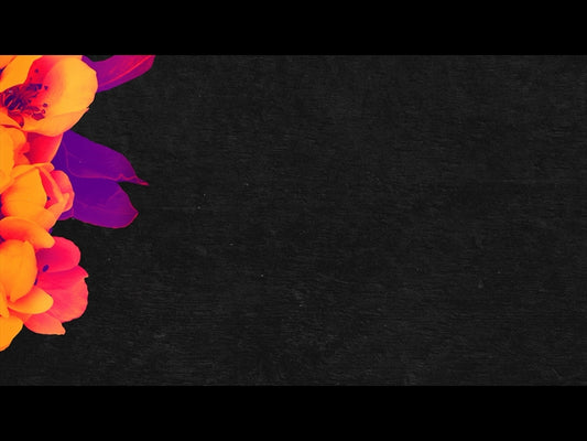 Bold Blooms Loop 09