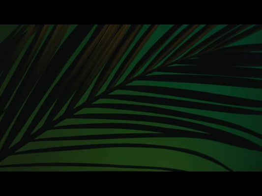Cinematic Palms Loop 8