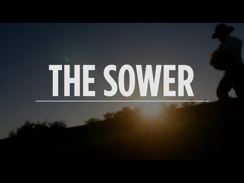 The Sower