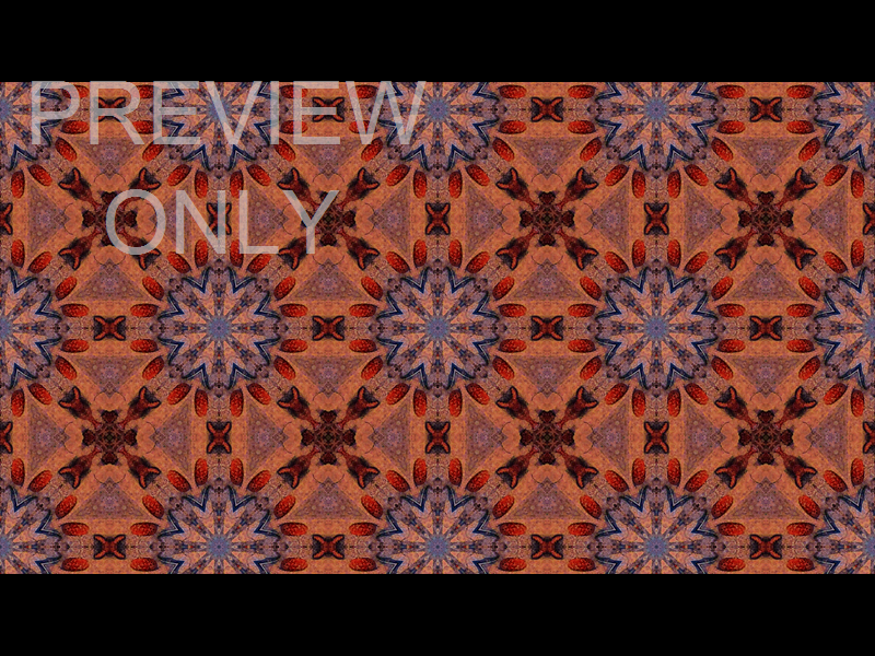 Why Can't We All Just Get Along? - Still 2