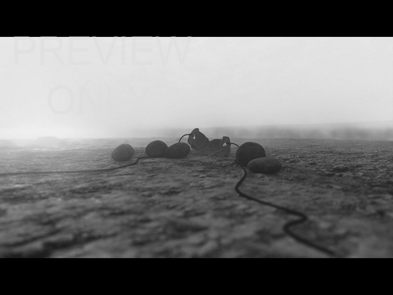 His Plan Is Perfect: Still 25