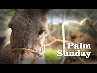 Palm Sunday