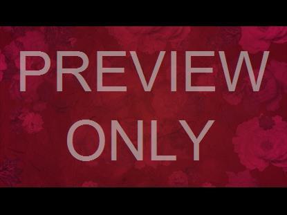 Who You Say I Am Still 13