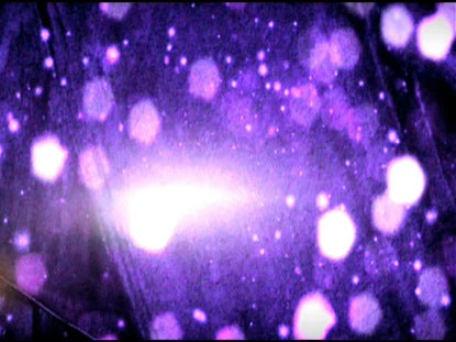 Glitter Purple