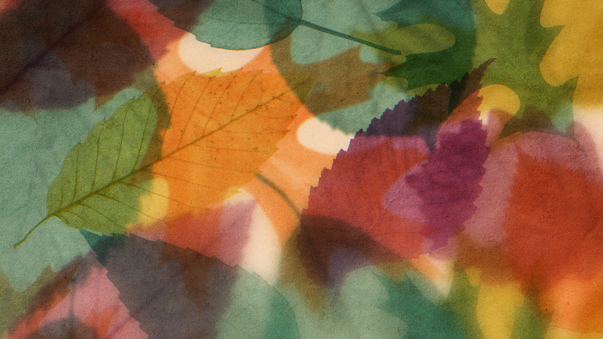 Layers Of Leaves Loop 02