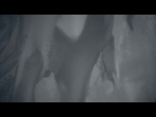 Aerial Bliss 12 Alt