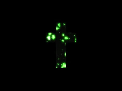Praise On Praise Loop 12